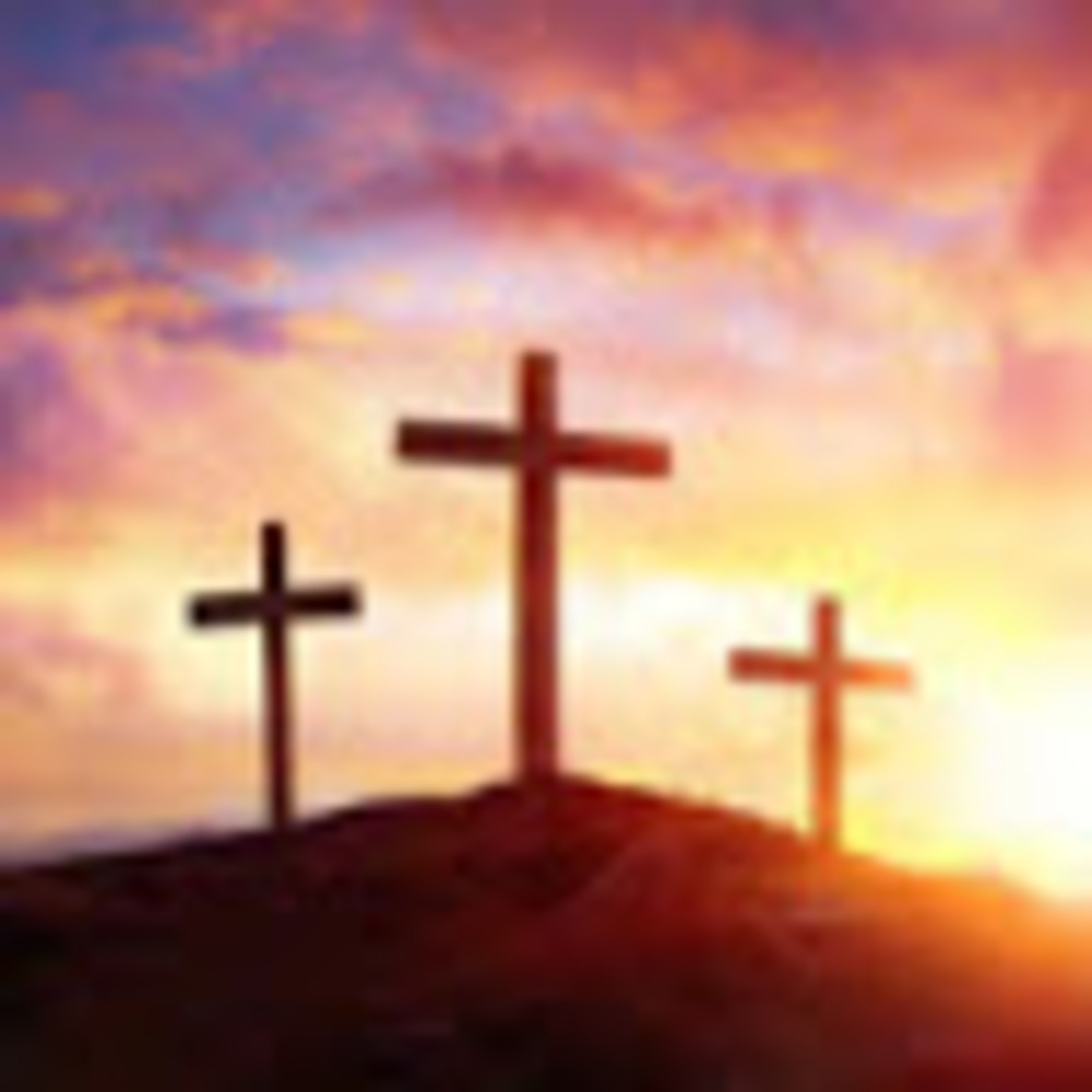 Meet your Posher, Jordin